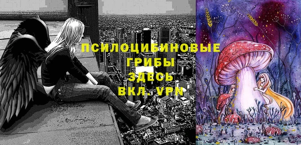 спиды Богданович