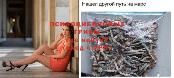 тгк Беломорск