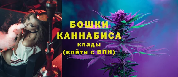 крисы Богородск