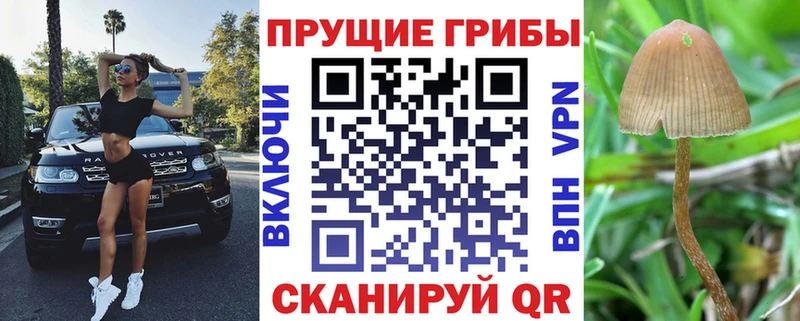 Псилоцибиновые грибы GOLDEN TEACHER  omg ссылка  Набережные Челны 